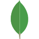 MongoDB